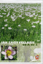 Výsledek obrázku pro jak začít včelařit dvd